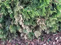 20160529_112602.webp