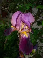 k-DSCI4023.webp