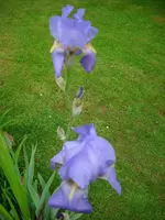 k-DSCI4033.webp