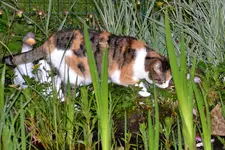 DSC_7917.webp
