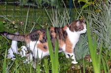 DSC_7919.webp