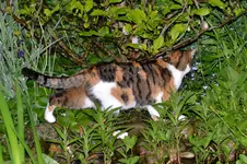 DSC_7920.webp