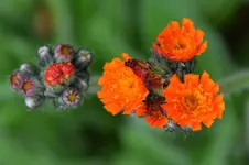 DSC_9173.webp