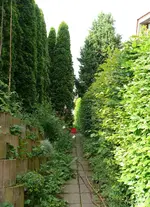 Garteneingang1.webp Garteneingang1.webp