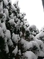 k-P1030458.webp k-P1030458.webp