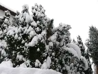 k-P1030467.webp k-P1030467.webp