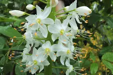 DSCF6067 (2).webp