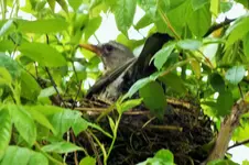 DSCF6061 (2).webp