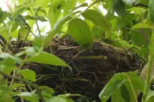DSCF6055.webp