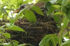 DSCF6056.webp