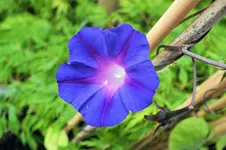 DSCF5997 (2).webp