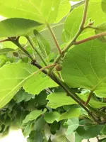 IMG_0806.jpg