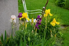 DSC05700.webp