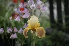 DSC05702.webp