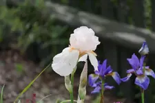 DSC05703.webp