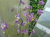 k-P1100936.webp