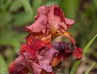IMG_0097.webp