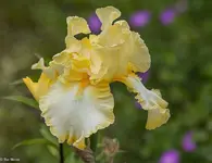 IMG_0179.webp