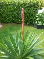 20160530_164331.webp