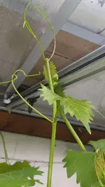 20160530_170105.jpg