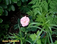 IMG_0635.webp