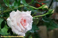 IMG_0647-001.webp