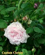 IMG_0649.webp