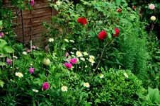IMG_0713.webp
