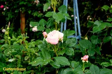 IMG_0762.webp