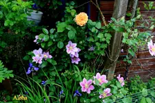 IMG_0764.webp