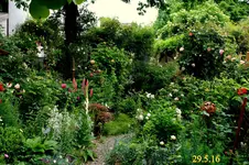 IMG_0773.webp
