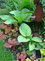 P1120007.webp