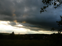 P1120029.webp