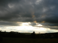 P1120030.webp
