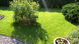 WP_20160529_16_58_19_Pro.jpg