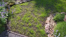 WP_20160529_16_58_39_Pro.jpg