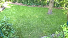 WP_20160529_16_58_50_Pro.jpg