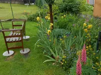 DSCN4037.webp