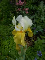 DSCN4039.webp