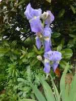 DSCN4040.webp
