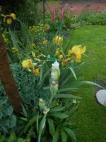 DSCN4052.webp