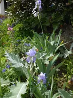 DSCN4019.webp
