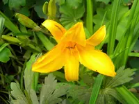 DSCN0195.webp