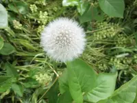 Bilda100.webp