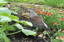 DSCF6065.webp