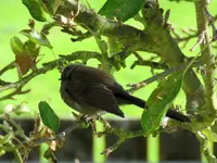 IMG_0723 v (1).webp