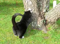 IMG_0795 v (1).webp
