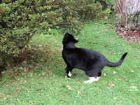IMG_0805 v (1).webp