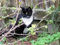 IMG_0824 v (1).webp
