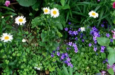 IMG_0688.webp